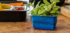ANL Packaging blue cress tray for agriculture
